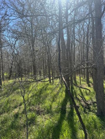 Lot 321 Kolekole Lane Bastrop TX 78602