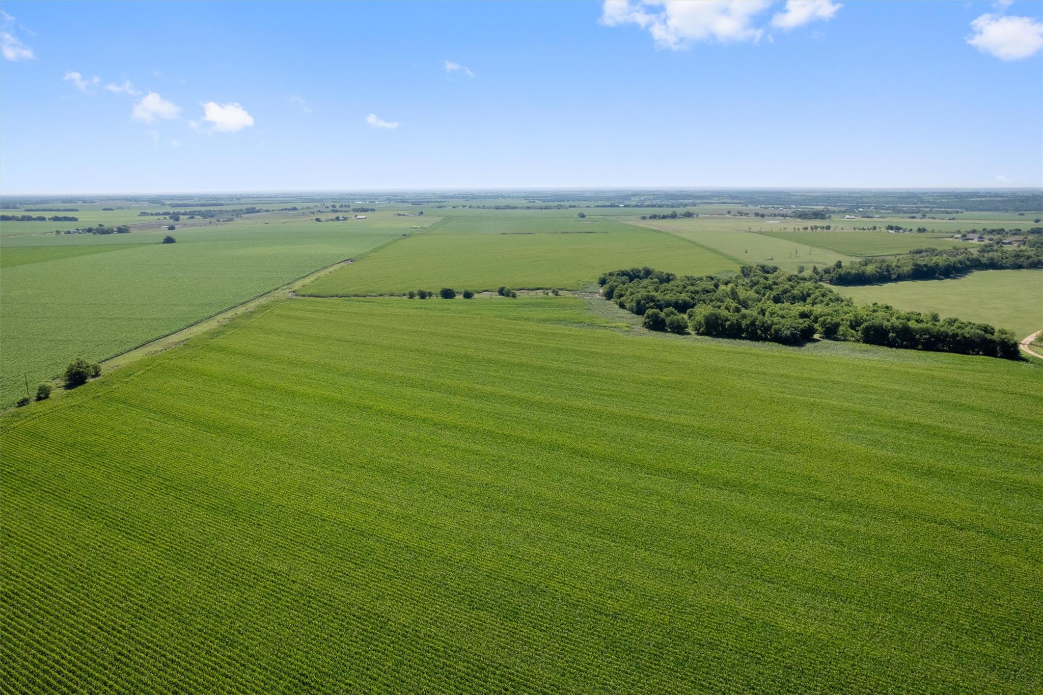 1701 County Road 424 Taylor TX 76574