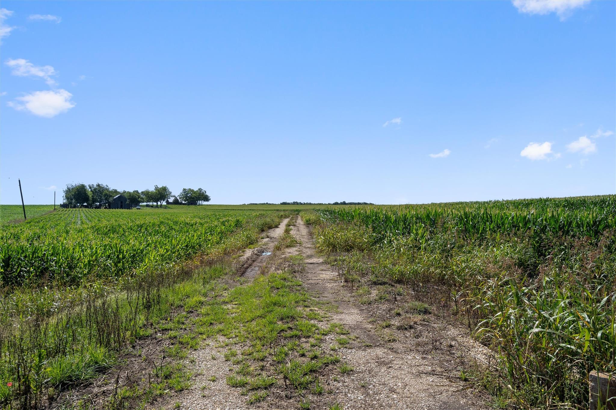 1701 County Road 424 Taylor TX 76574