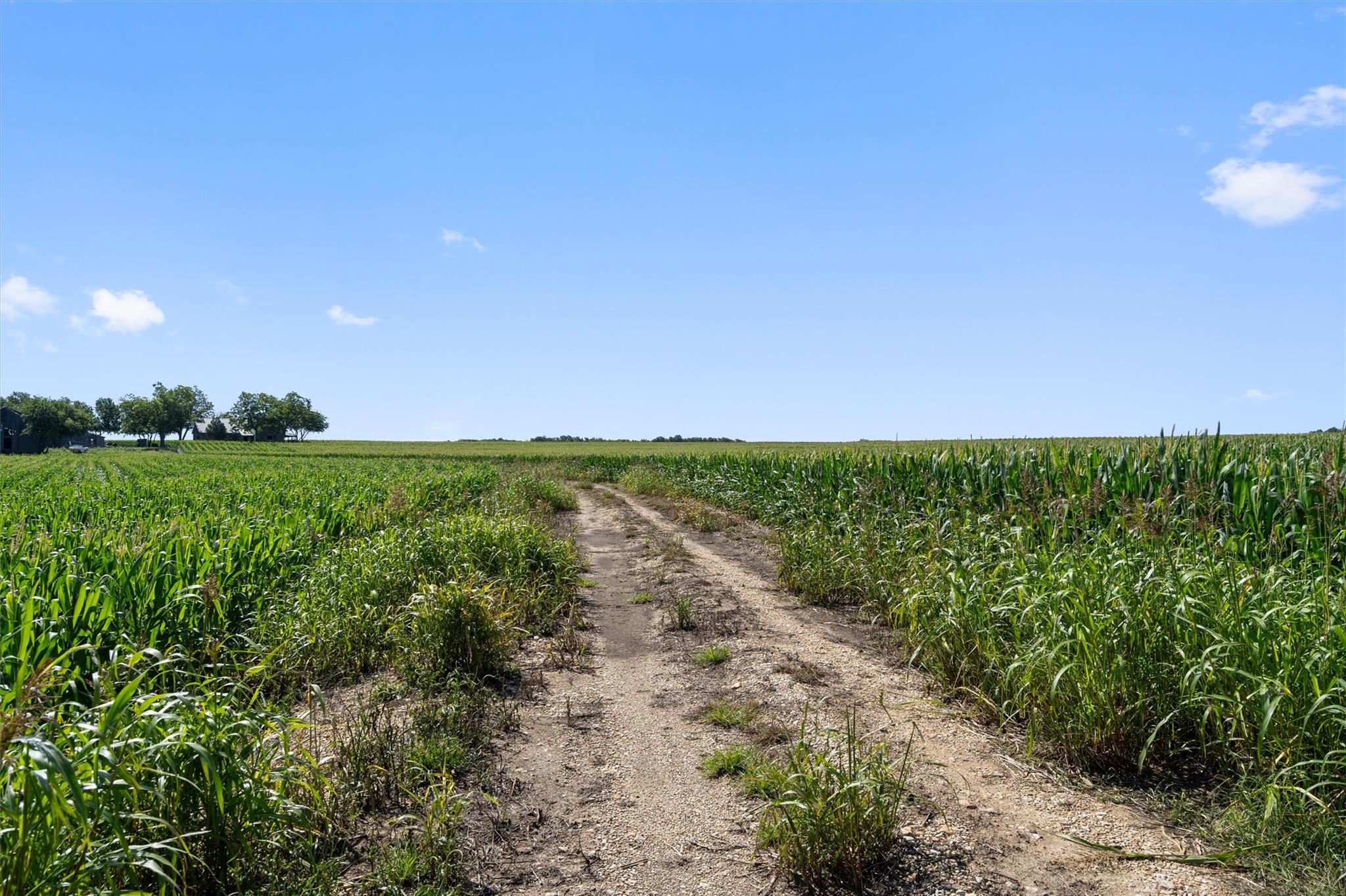 1701 County Road 424 Taylor TX 76574