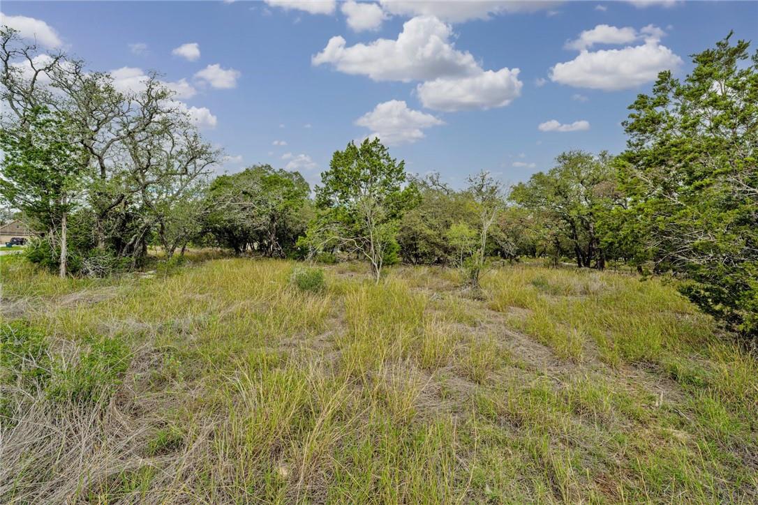104 Rocky Summit Court Spicewood TX 78669