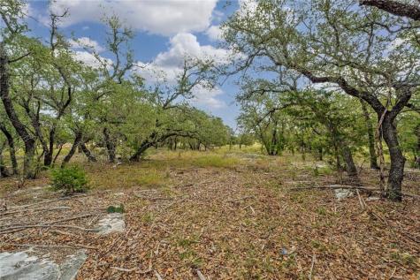 104 Rocky Summit Court Spicewood TX 78669