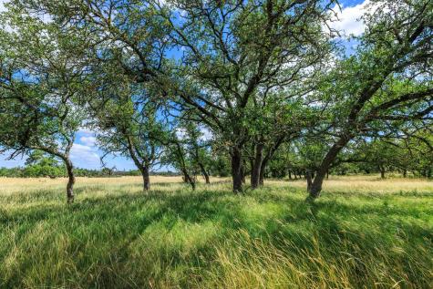 Lot 94 Stock Pond Drive Harper TX 78631