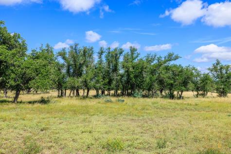 Lot 94 Stock Pond Drive Harper TX 78631