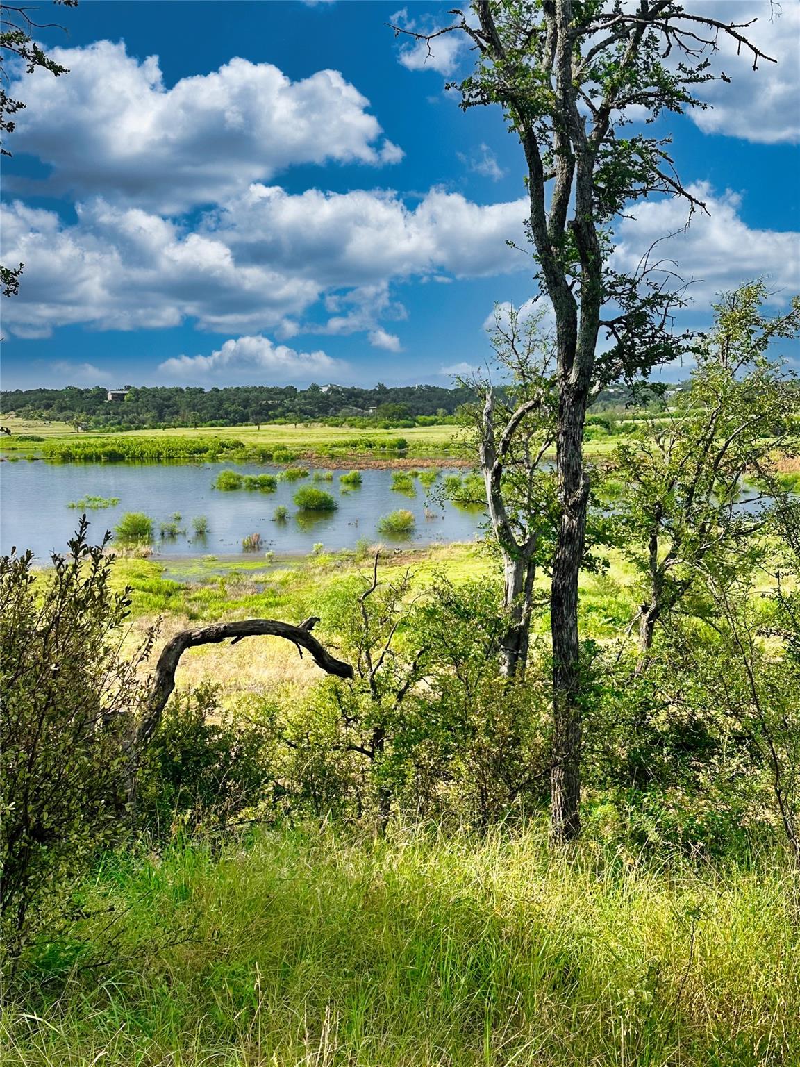 29 Chimney Cove Drive Marble Falls TX 78654