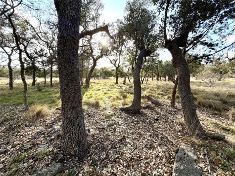 1360 County Road 233 Road Florence TX 76527