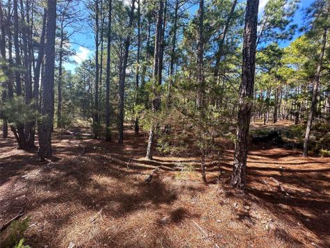 Lot 11 Hickory Ridge Drive Bastrop TX 78602
