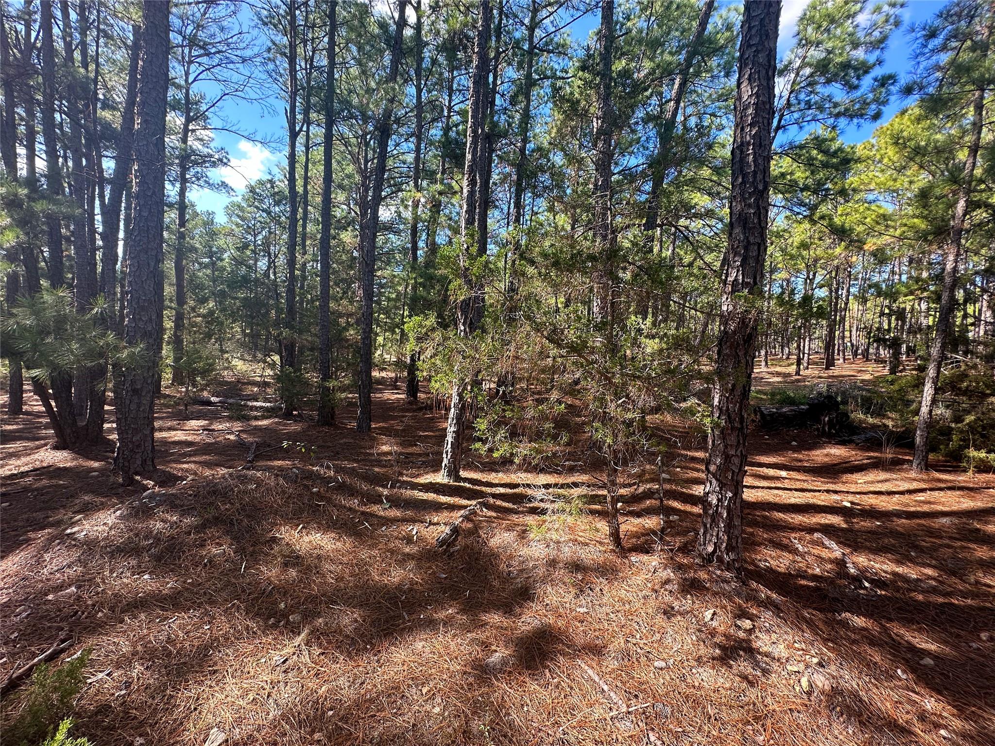 Lot 11 Hickory Ridge Drive Bastrop TX 78602