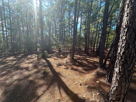Lot 11 Hickory Ridge Drive Bastrop TX 78602
