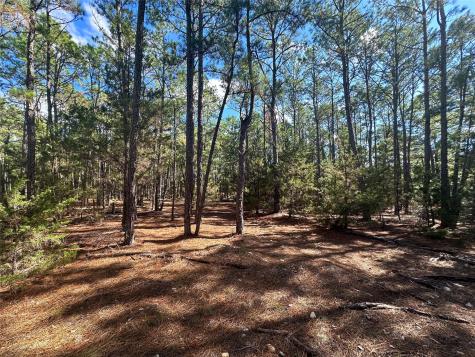 Lot 11 Hickory Ridge Drive Bastrop TX 78602