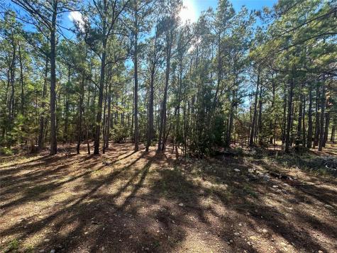 Lot 11 Hickory Ridge Drive Bastrop TX 78602