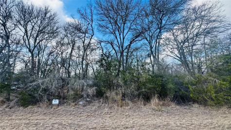 208 Sendero Boulevard Cedar Creek TX 78612