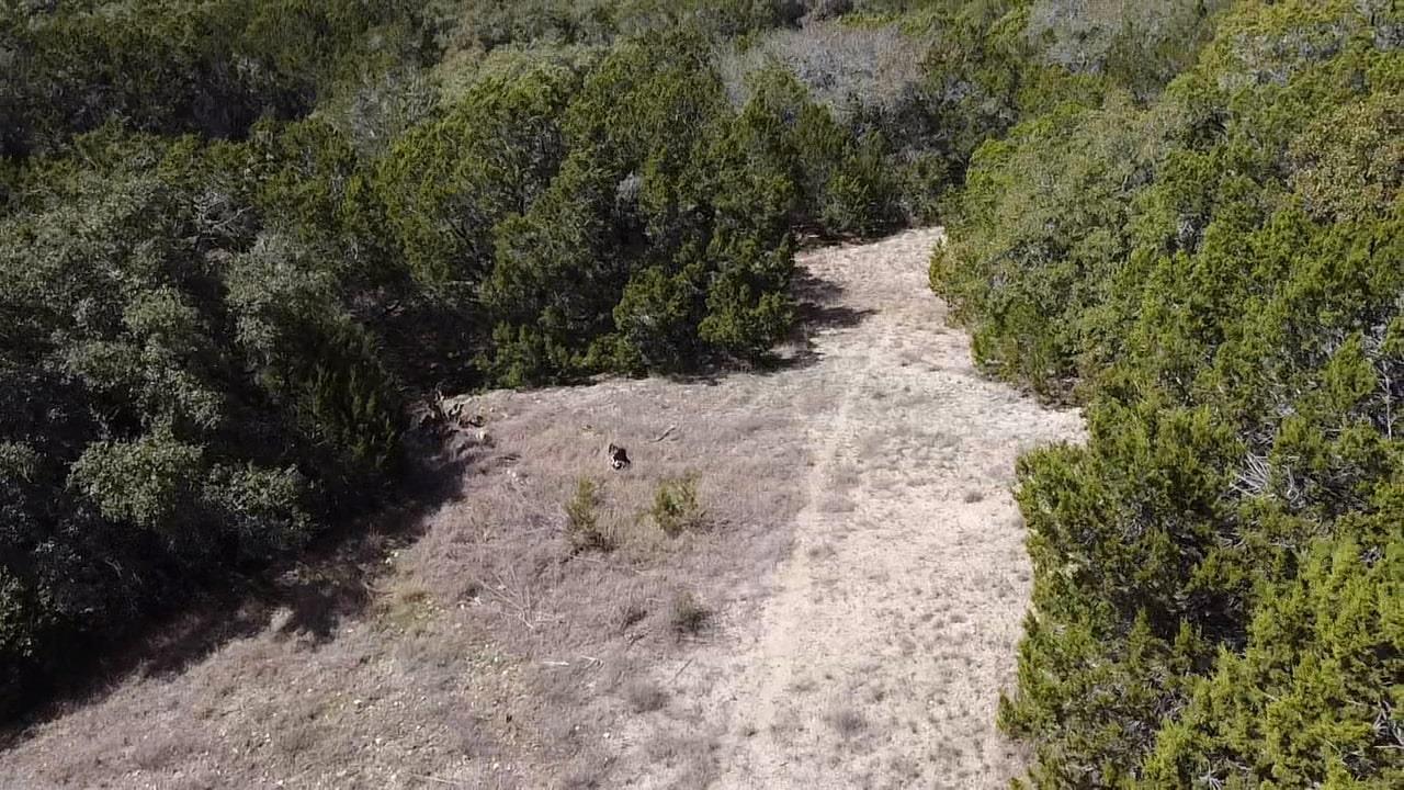 505 Cielo Vista Canyon Lake TX 78133