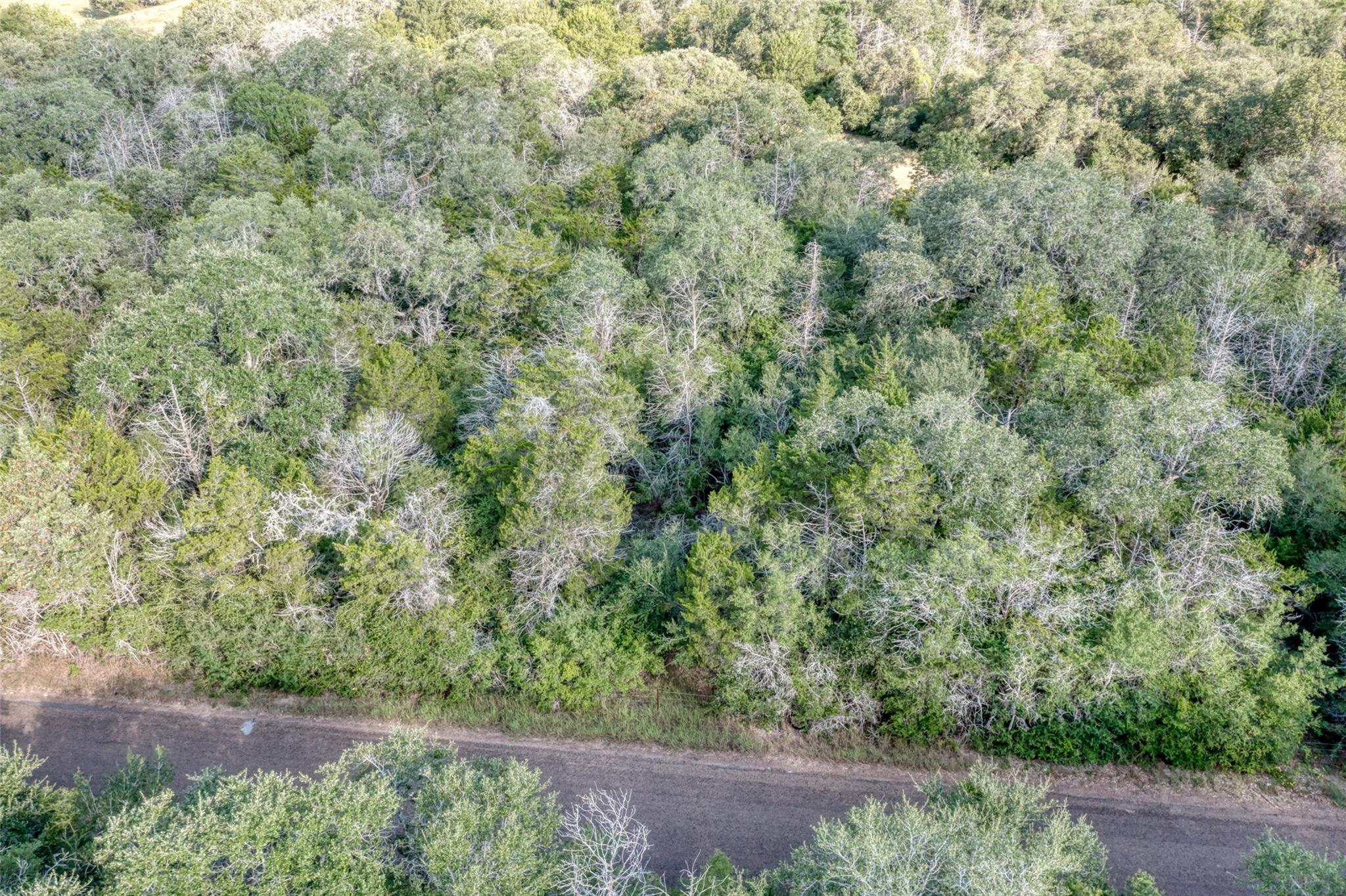 Tbd Wied Road Rutersville TX 78945
