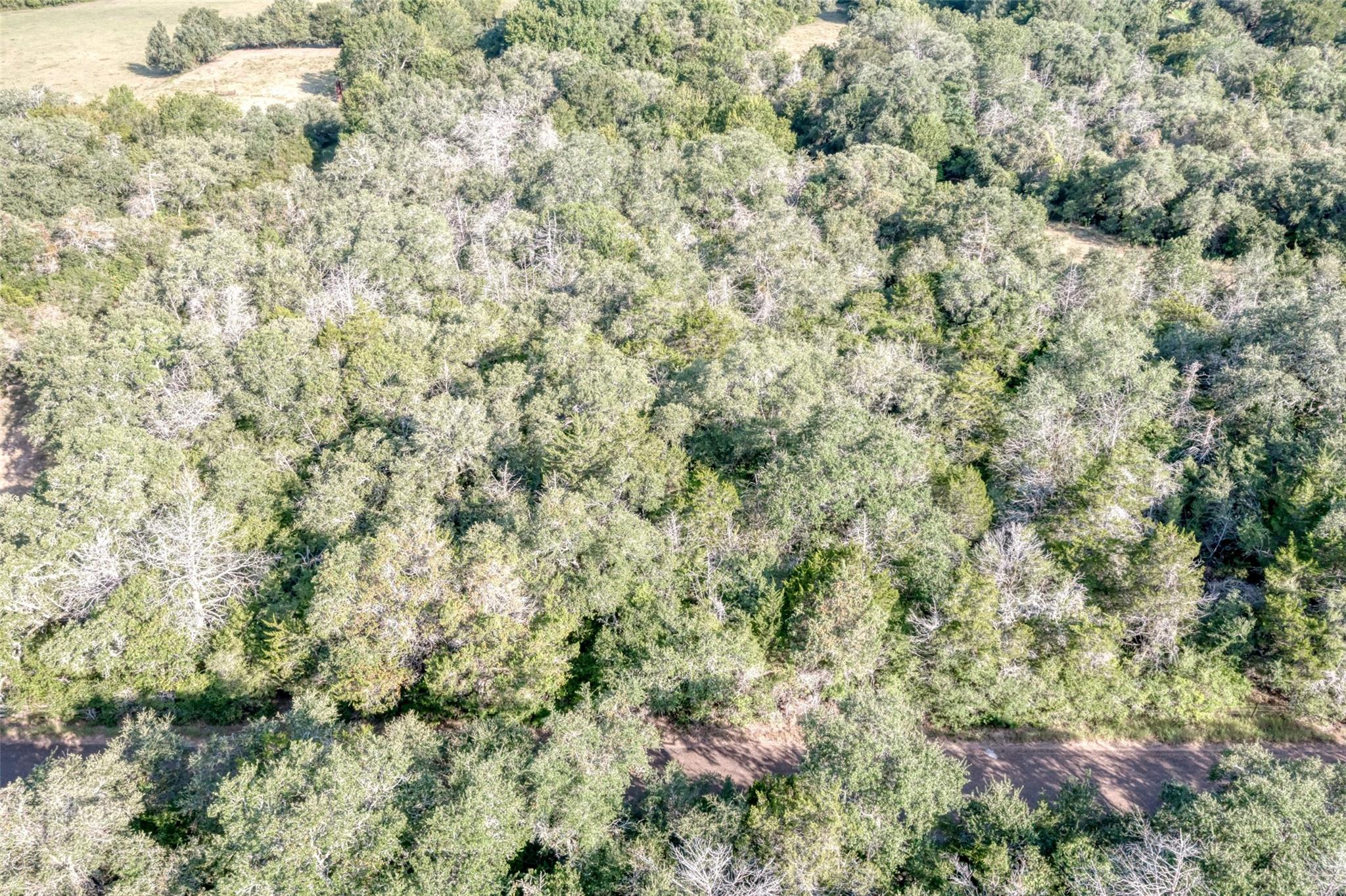 Tbd Wied Road Rutersville TX 78945