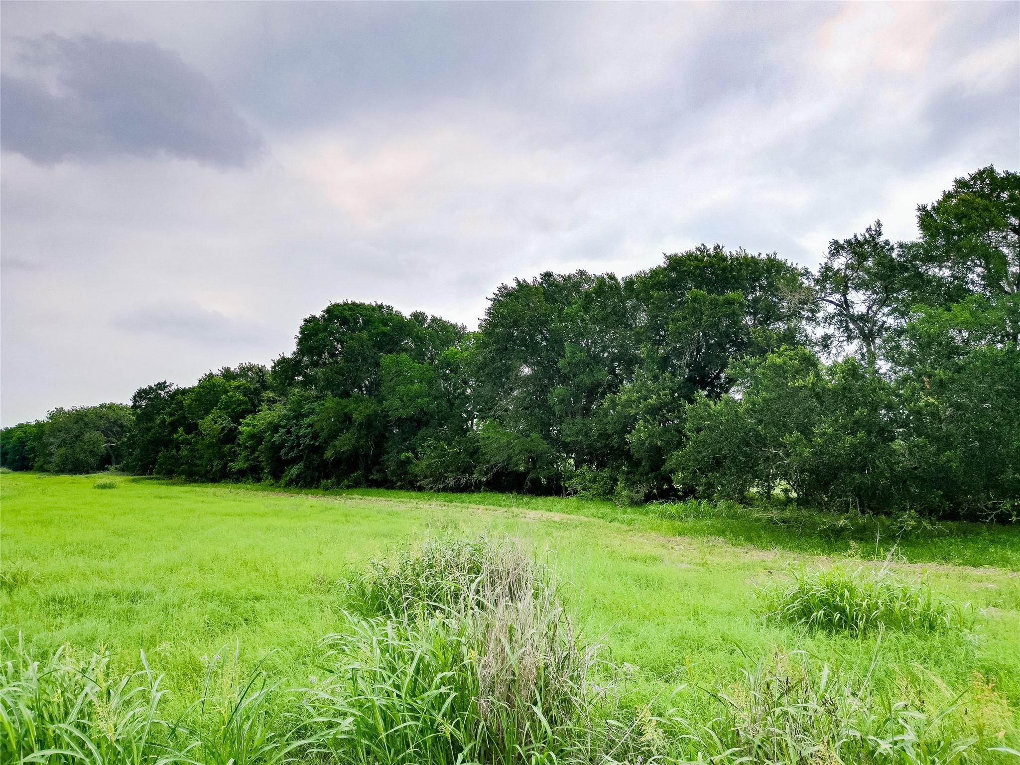 Tbd Fm 1854 Highway Dale TX 78616