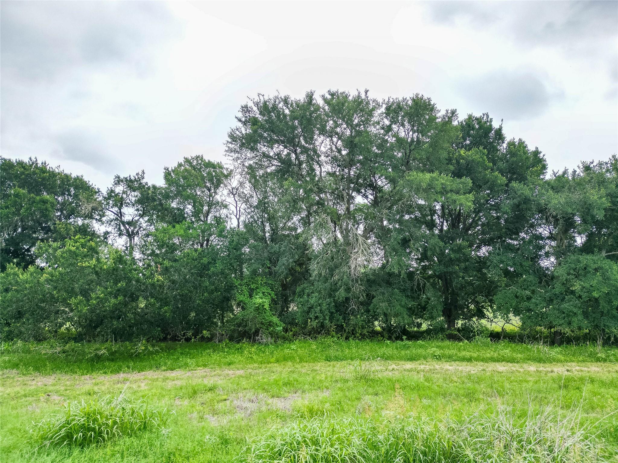 Tbd Fm 1854 Highway Dale TX 78616