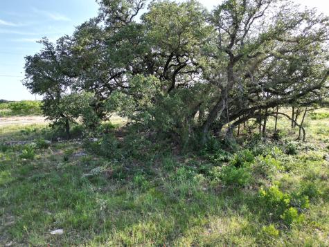 Lot 20 Serenity Drive Bertram TX 78605