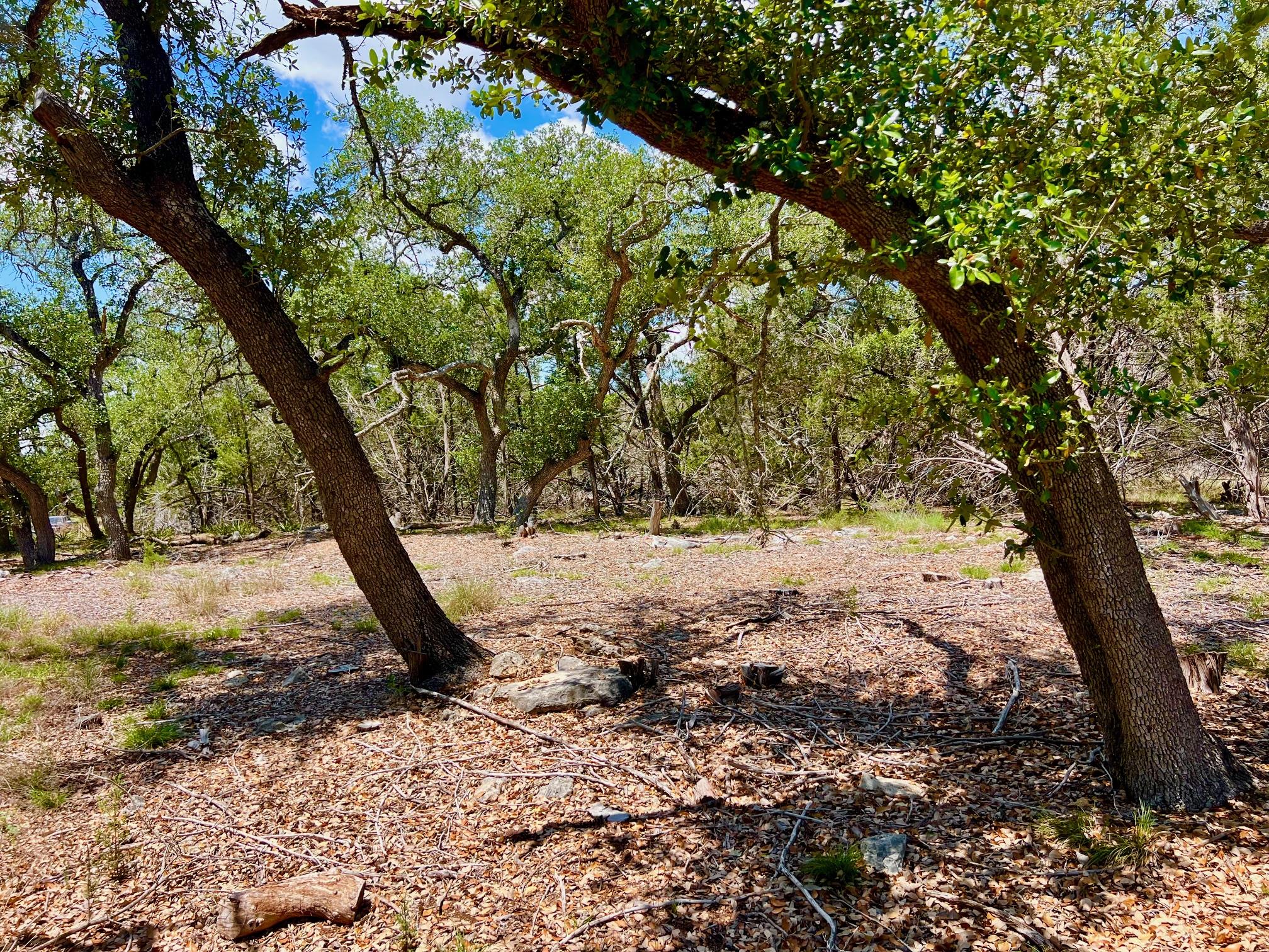 Tbd Forest View Drive Blanco TX 78606
