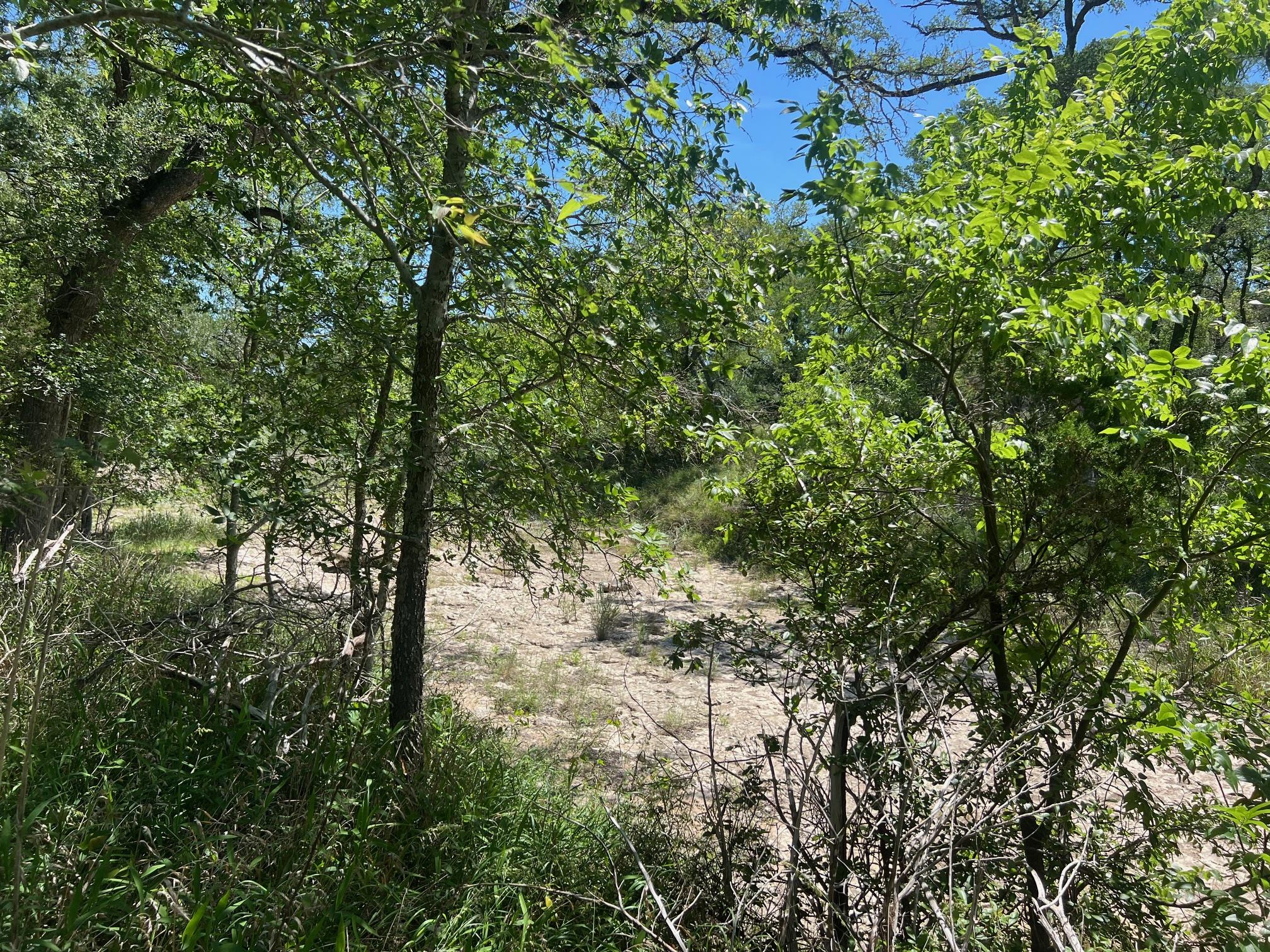 Tbd Forest View Drive Blanco TX 78606