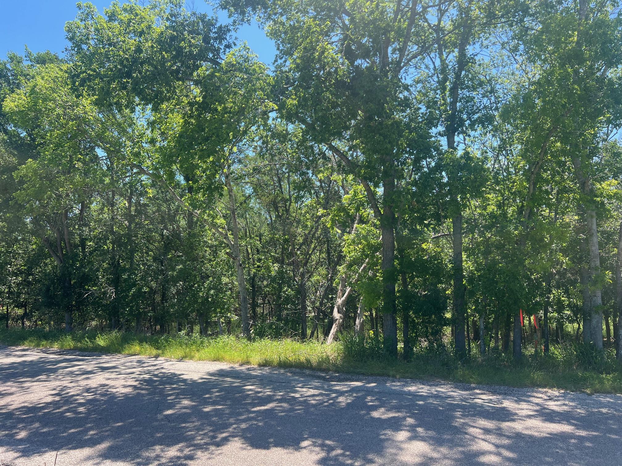 Tbd Forest View Drive Blanco TX 78606