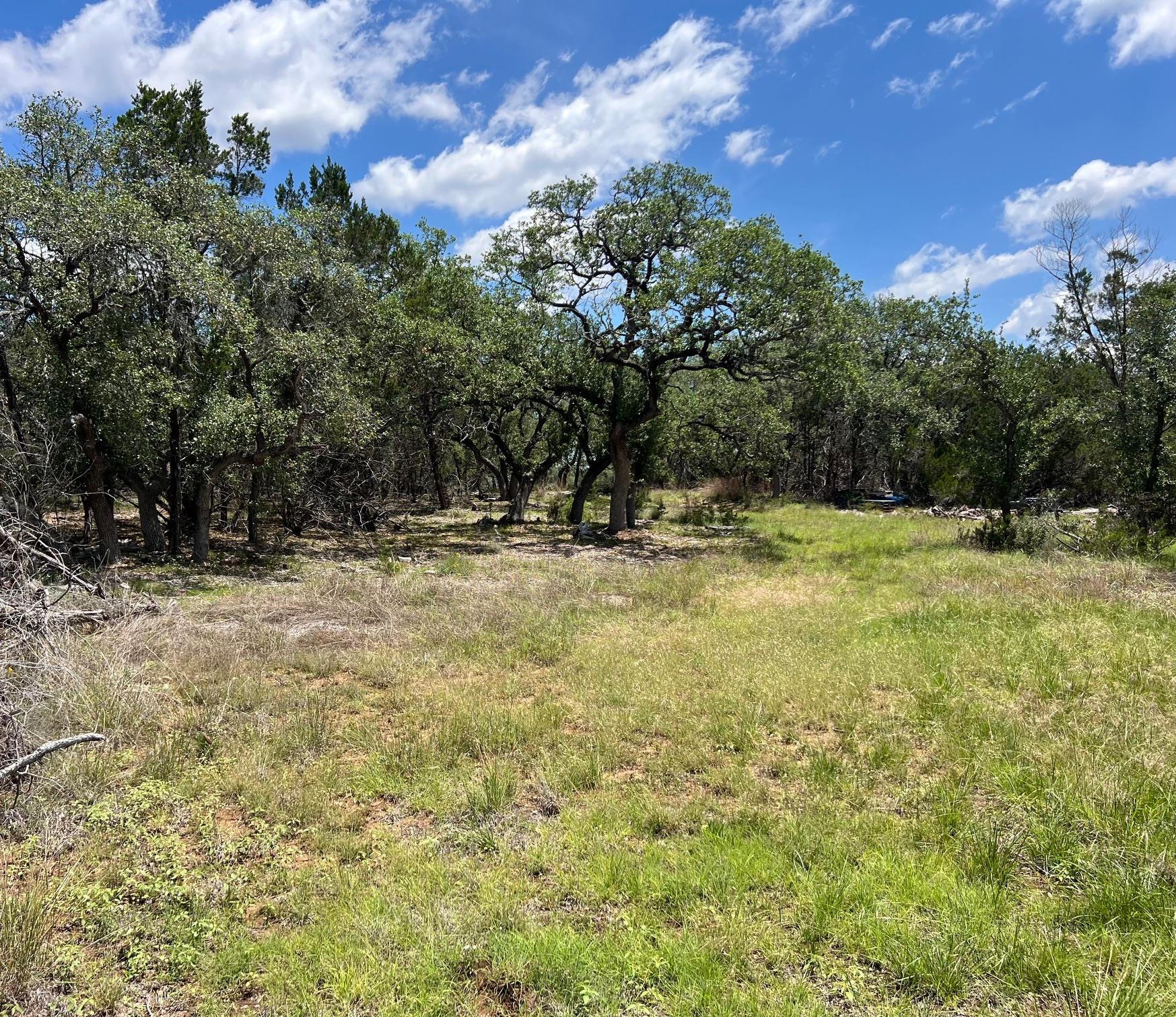 Tbd Forest View Drive Blanco TX 78606