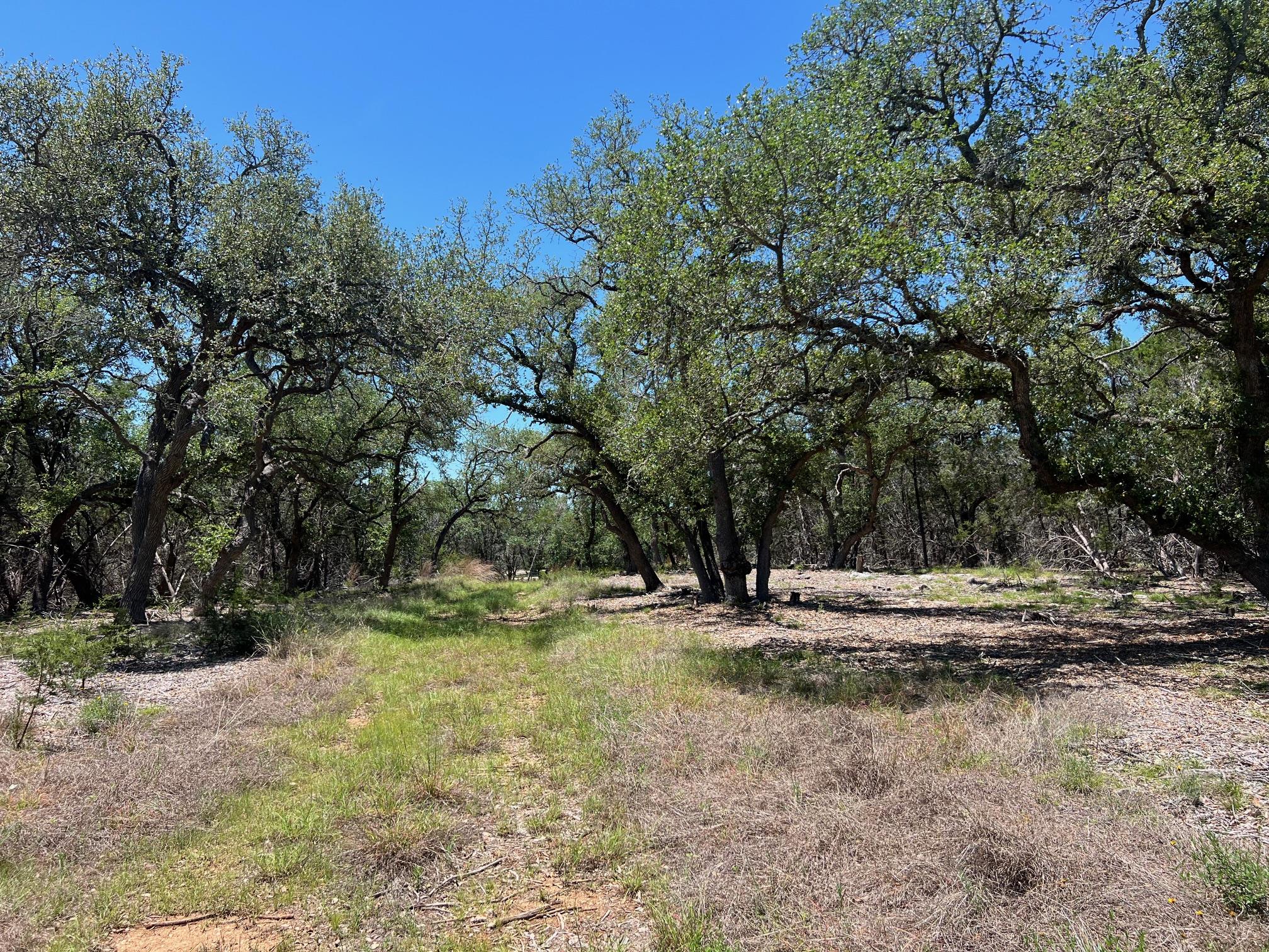 Tbd Forest View Drive Blanco TX 78606