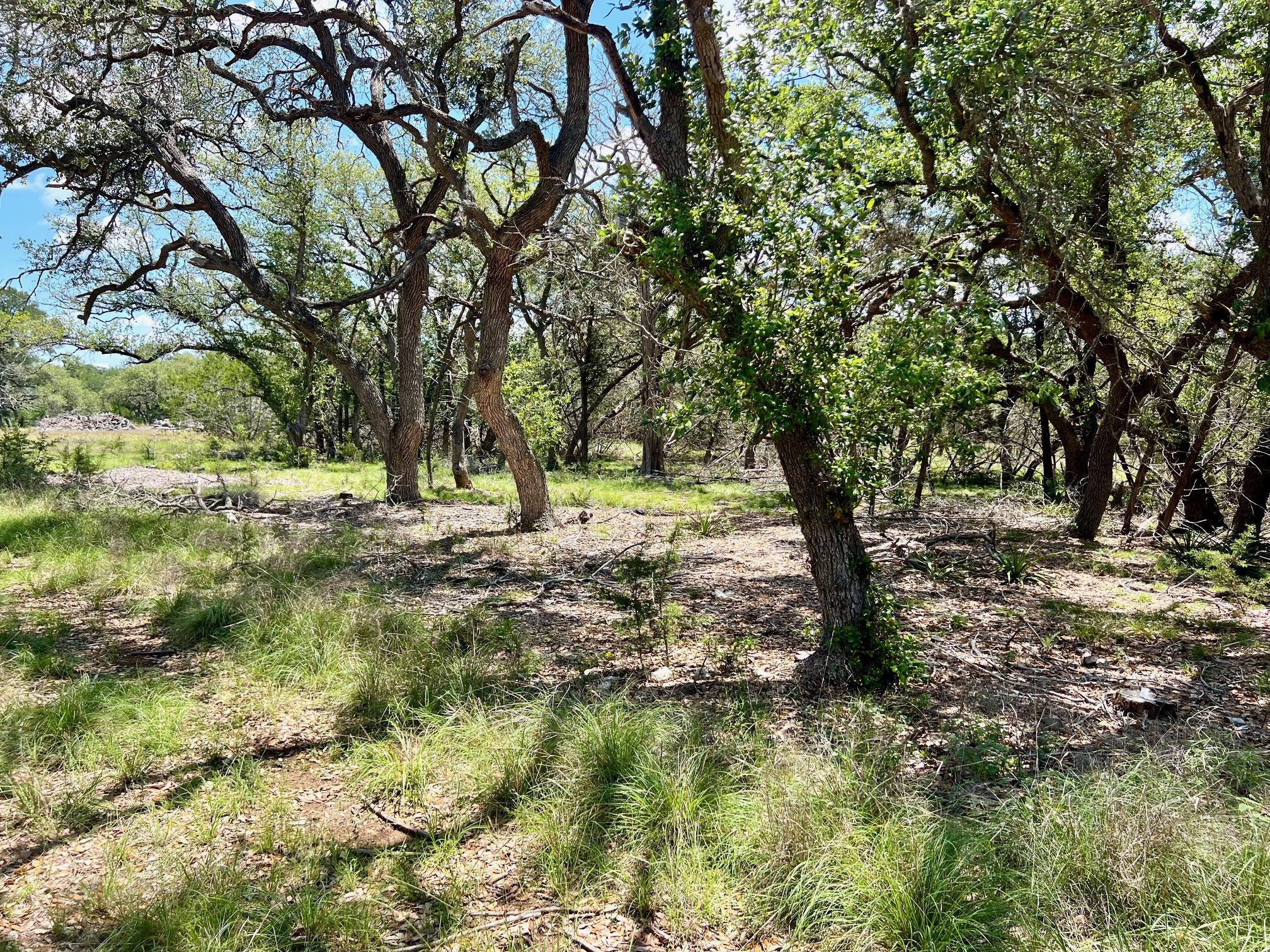 Tbd Forest View Drive Blanco TX 78606
