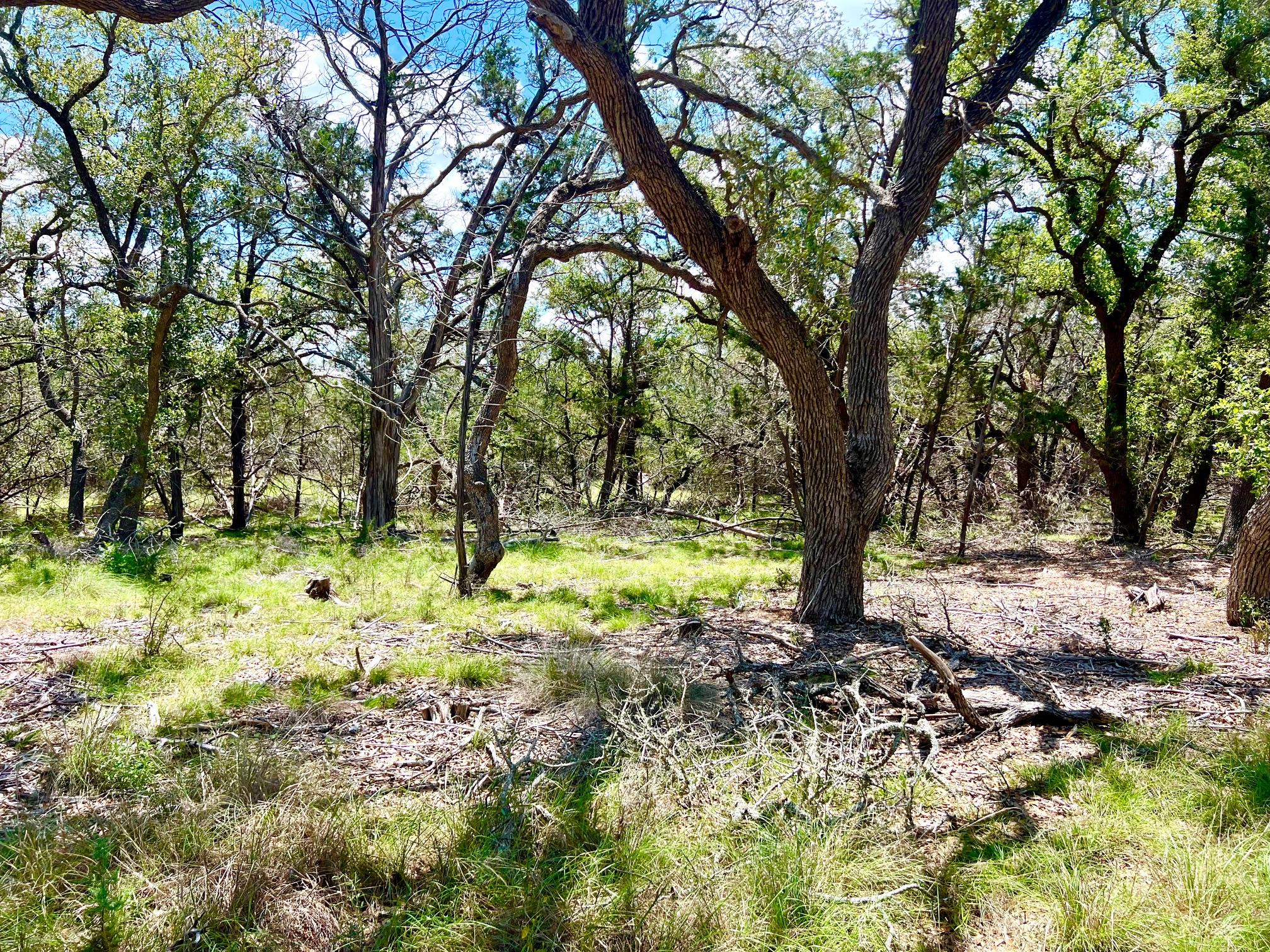 Tbd Forest View Drive Blanco TX 78606