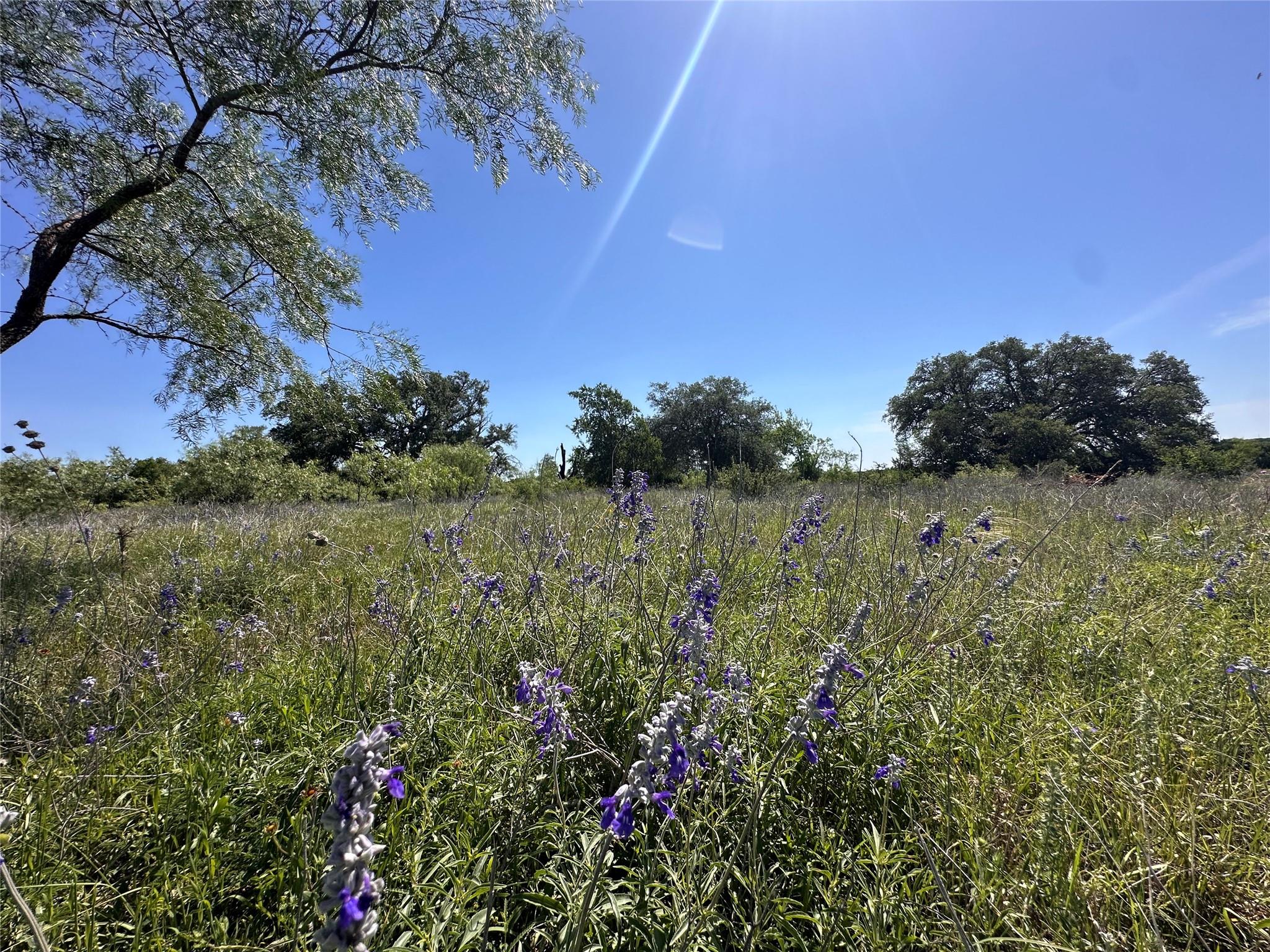 Lot 49 Serenity Drive Bertram TX 78605