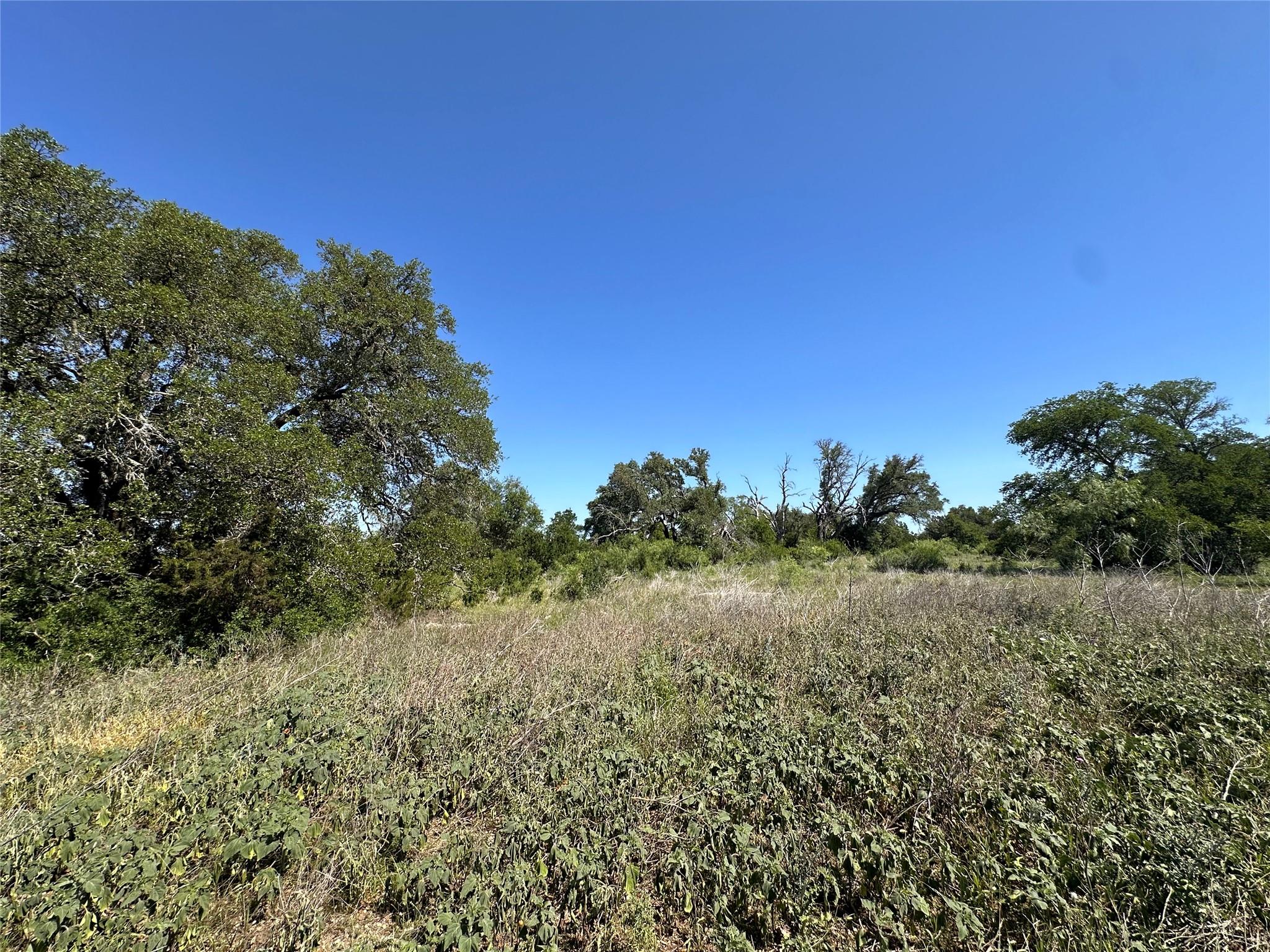 Lot 49 Serenity Drive Bertram TX 78605
