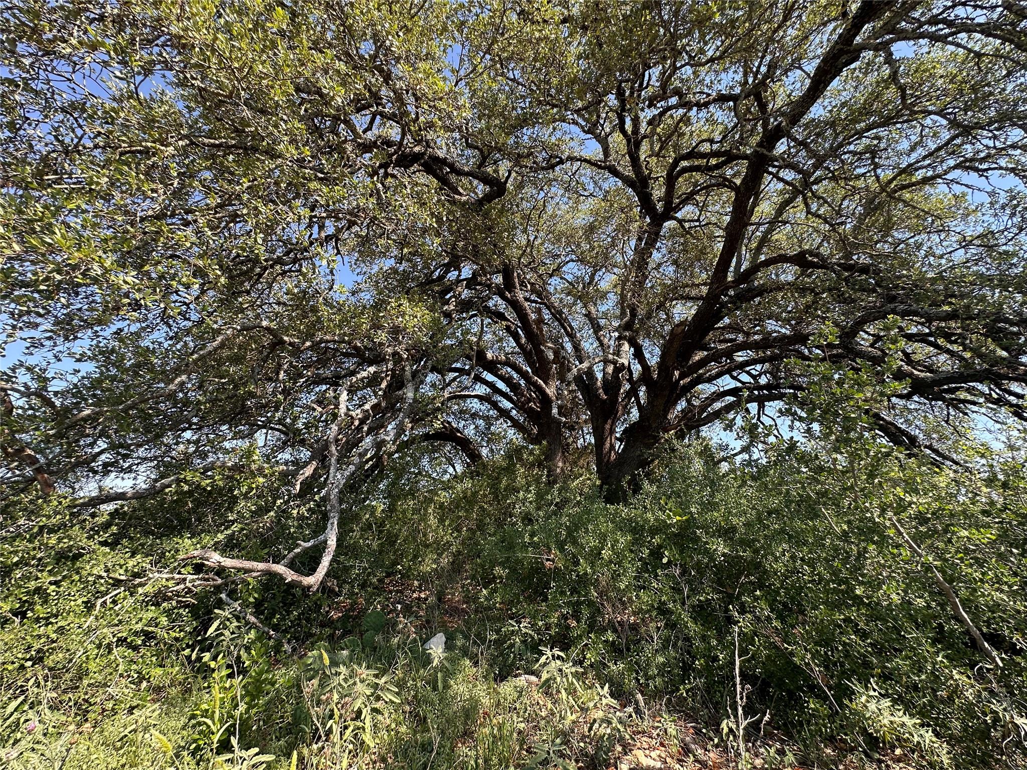 Lot 49 Serenity Drive Bertram TX 78605