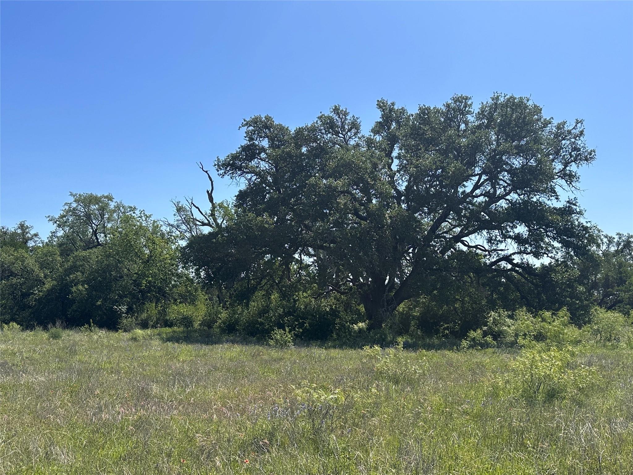 Lot 49 Serenity Drive Bertram TX 78605