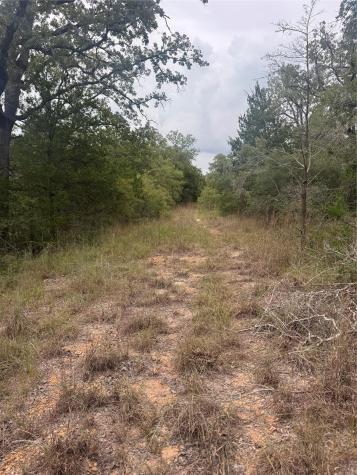 Lot 6 Spruce Street Paige TX 78659