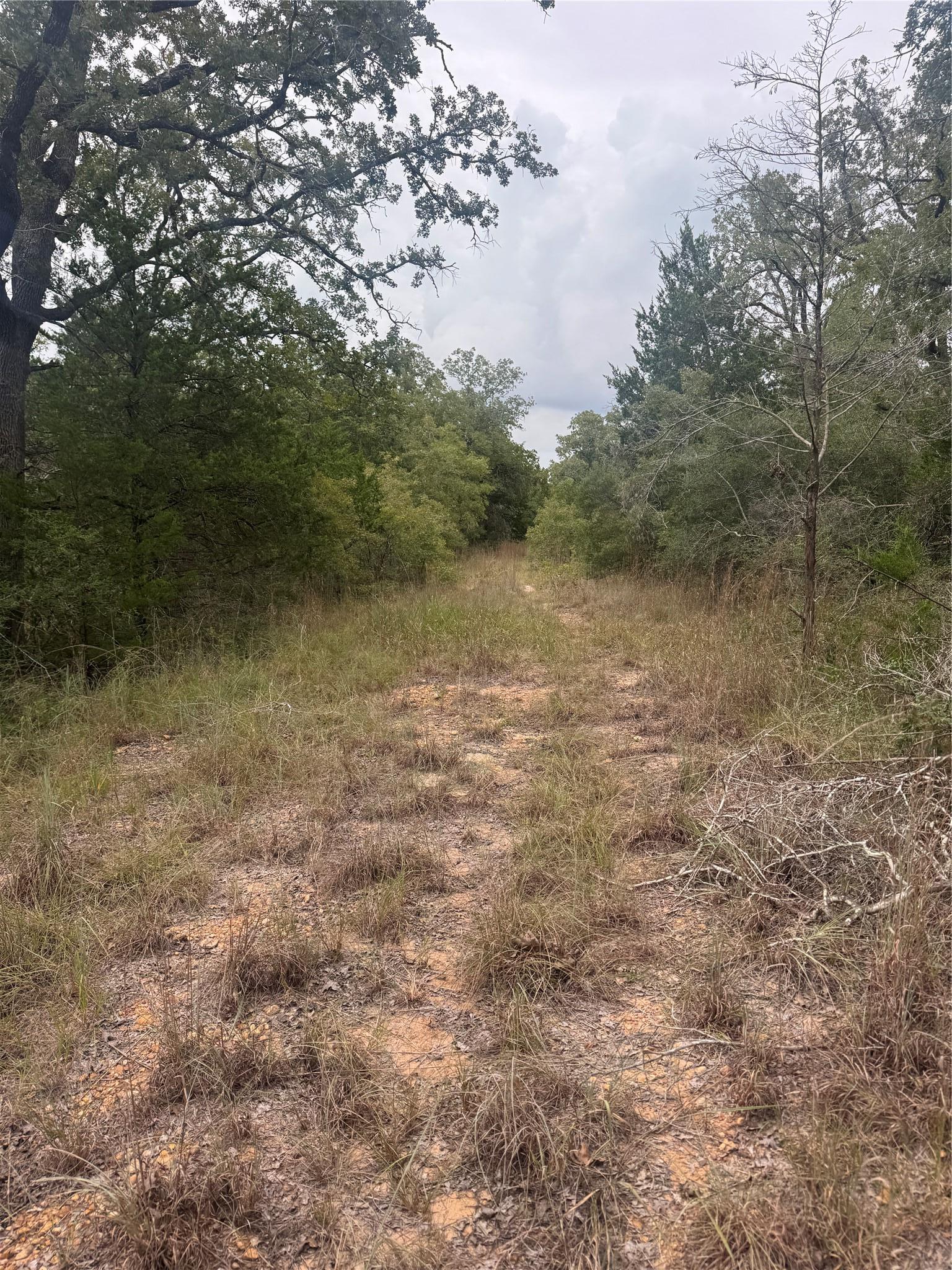 Lot 6 Spruce Street Paige TX 78659