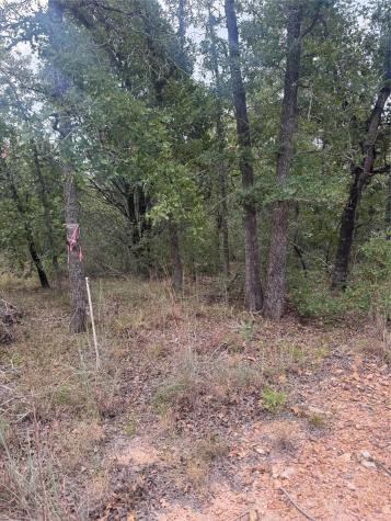 Lot 6 Spruce Street Paige TX 78659