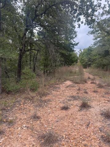 Lot 6 Spruce Street Paige TX 78659
