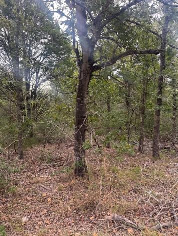 Lot 6 Spruce Street Paige TX 78659