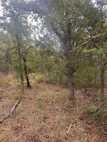 Lot 6 Spruce Street Paige TX 78659