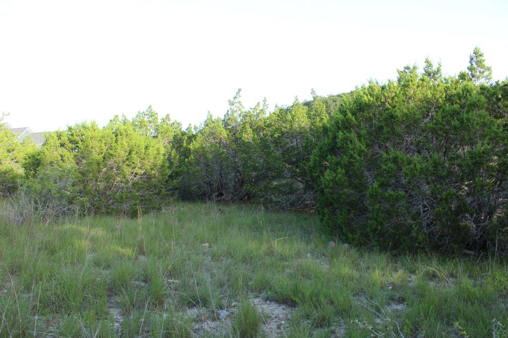 218 Spring Hollow Drive Bertram TX 78605