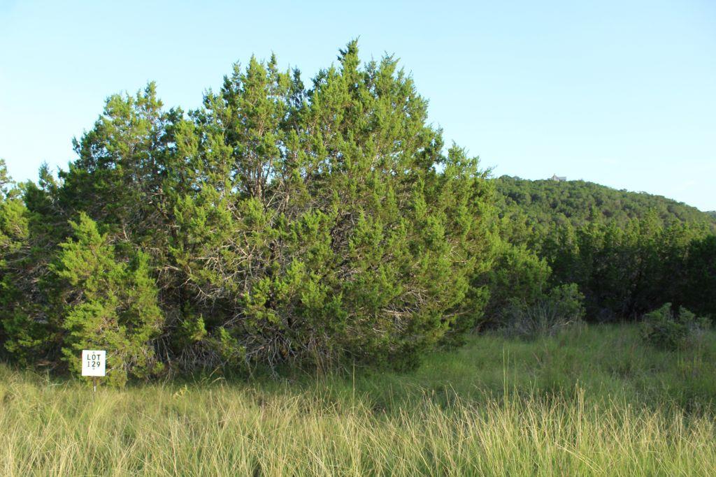 218 Spring Hollow Drive Bertram TX 78605