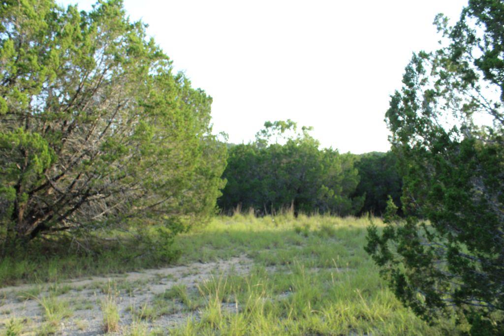 218 Spring Hollow Drive Bertram TX 78605