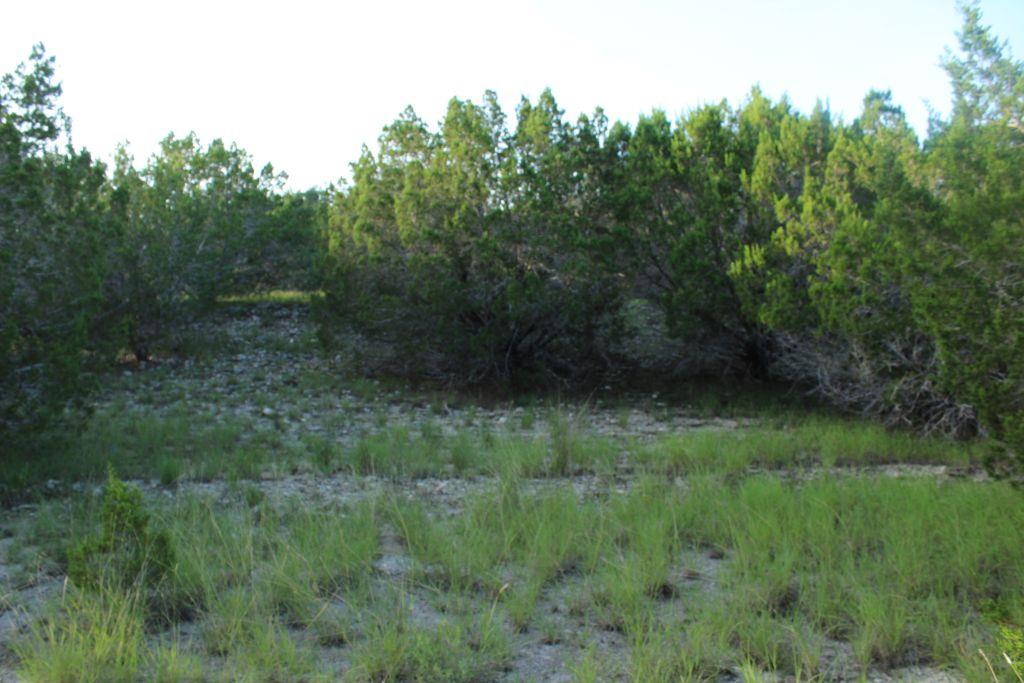 218 Spring Hollow Drive Bertram TX 78605