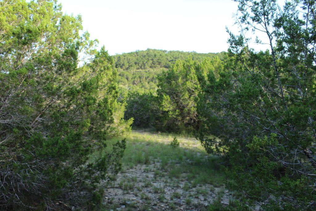 218 Spring Hollow Drive Bertram TX 78605