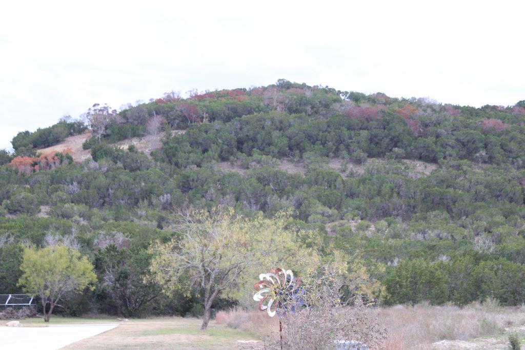 218 Spring Hollow Drive Bertram TX 78605