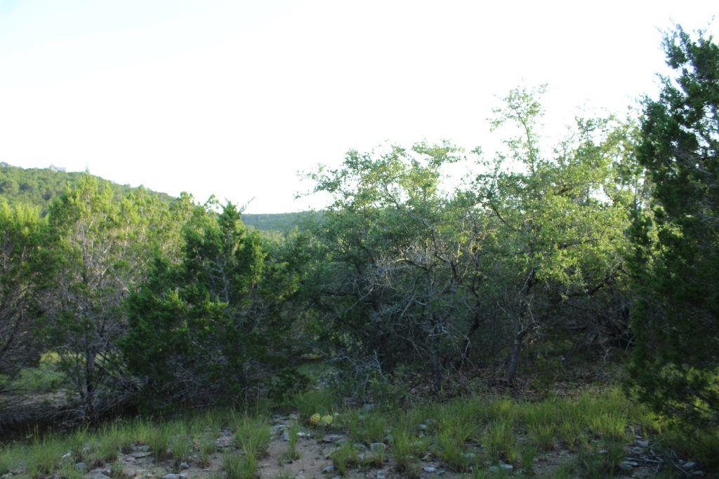 218 Spring Hollow Drive Bertram TX 78605