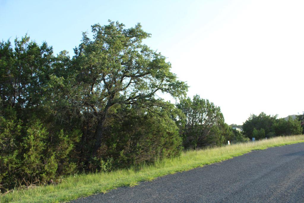 218 Spring Hollow Drive Bertram TX 78605
