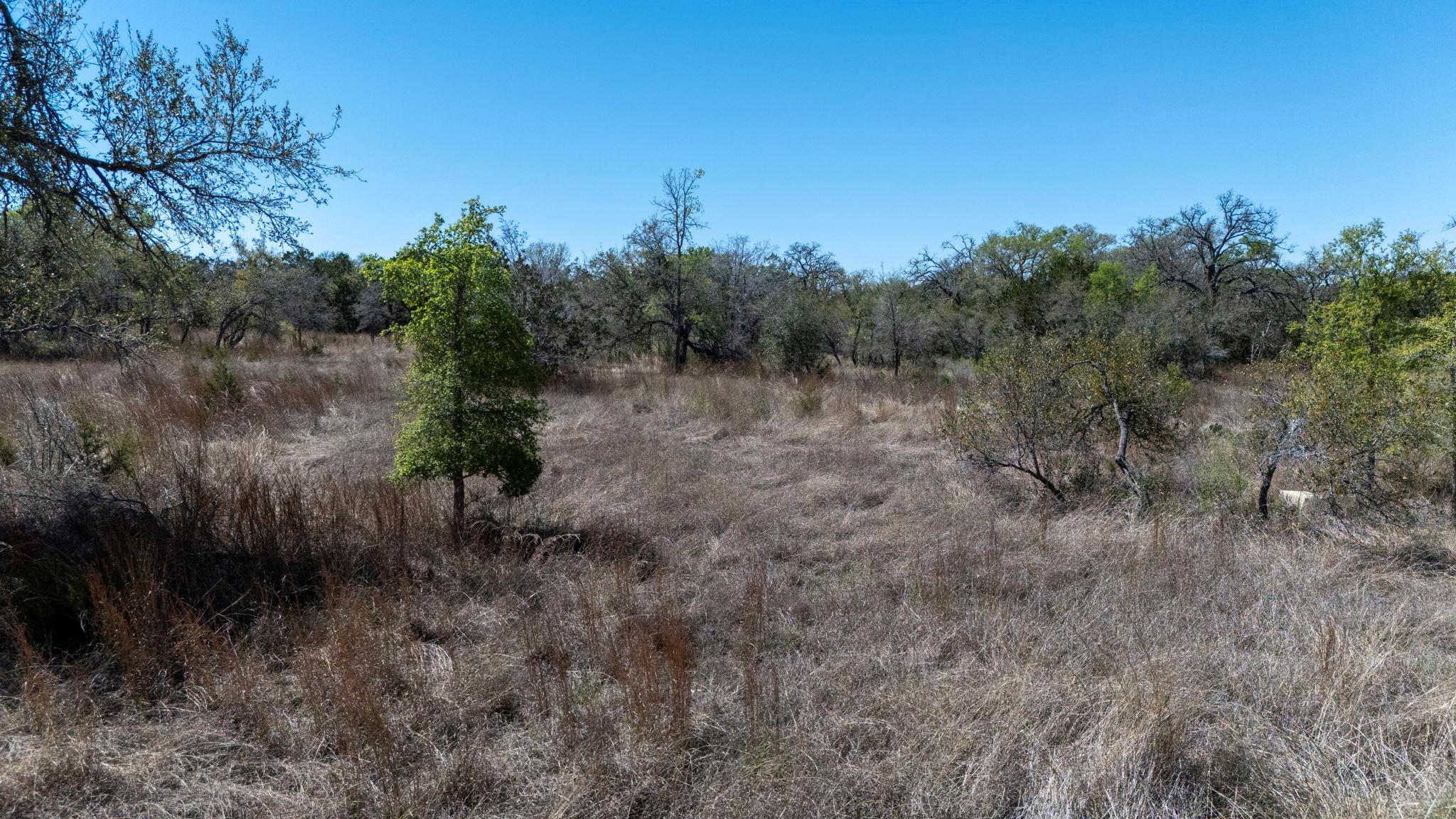 453 Nameless Road Driftwood TX 78619