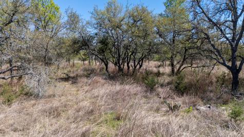 453 Nameless Road Driftwood TX 78619