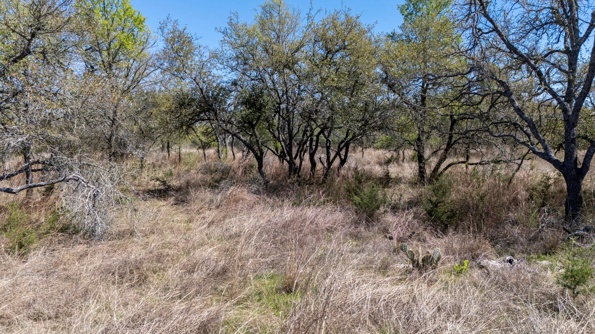 453 Nameless Road Driftwood TX 78619